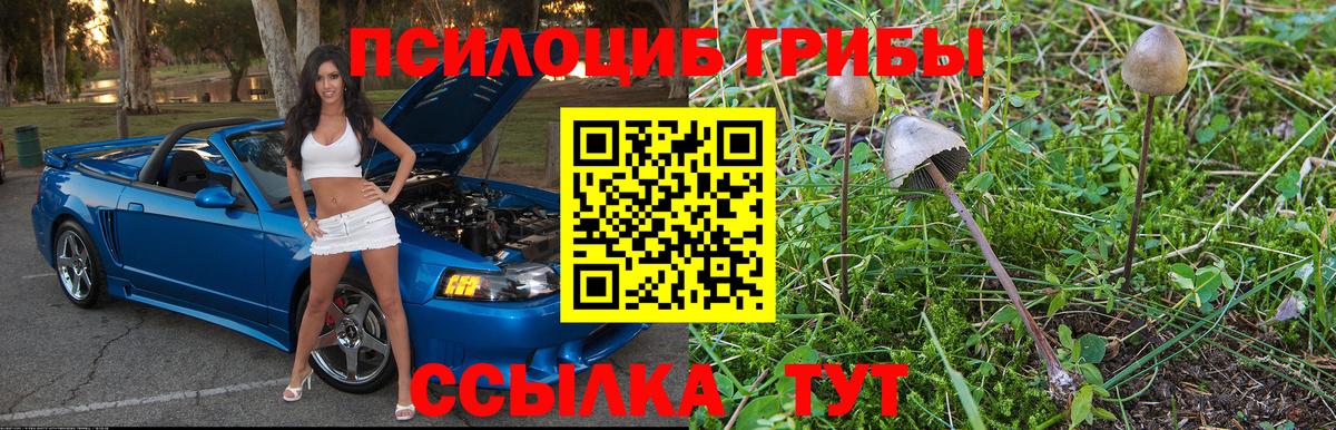 Alpha-PVP Долгопрудный
