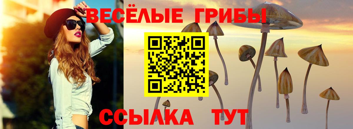 Галлюциногенные грибы Psilocybine cubensis Долгопрудный